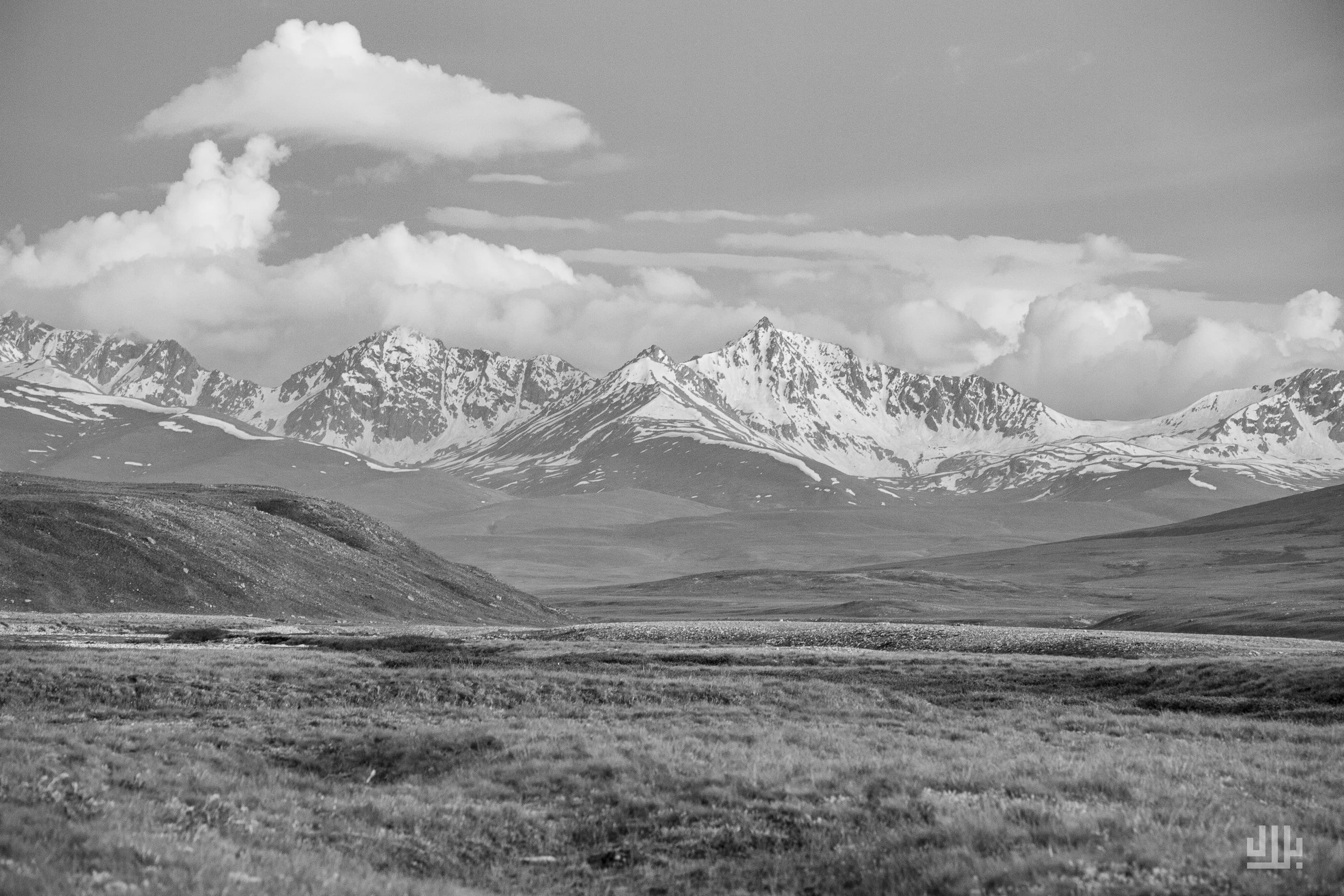 Portfolio image 8
