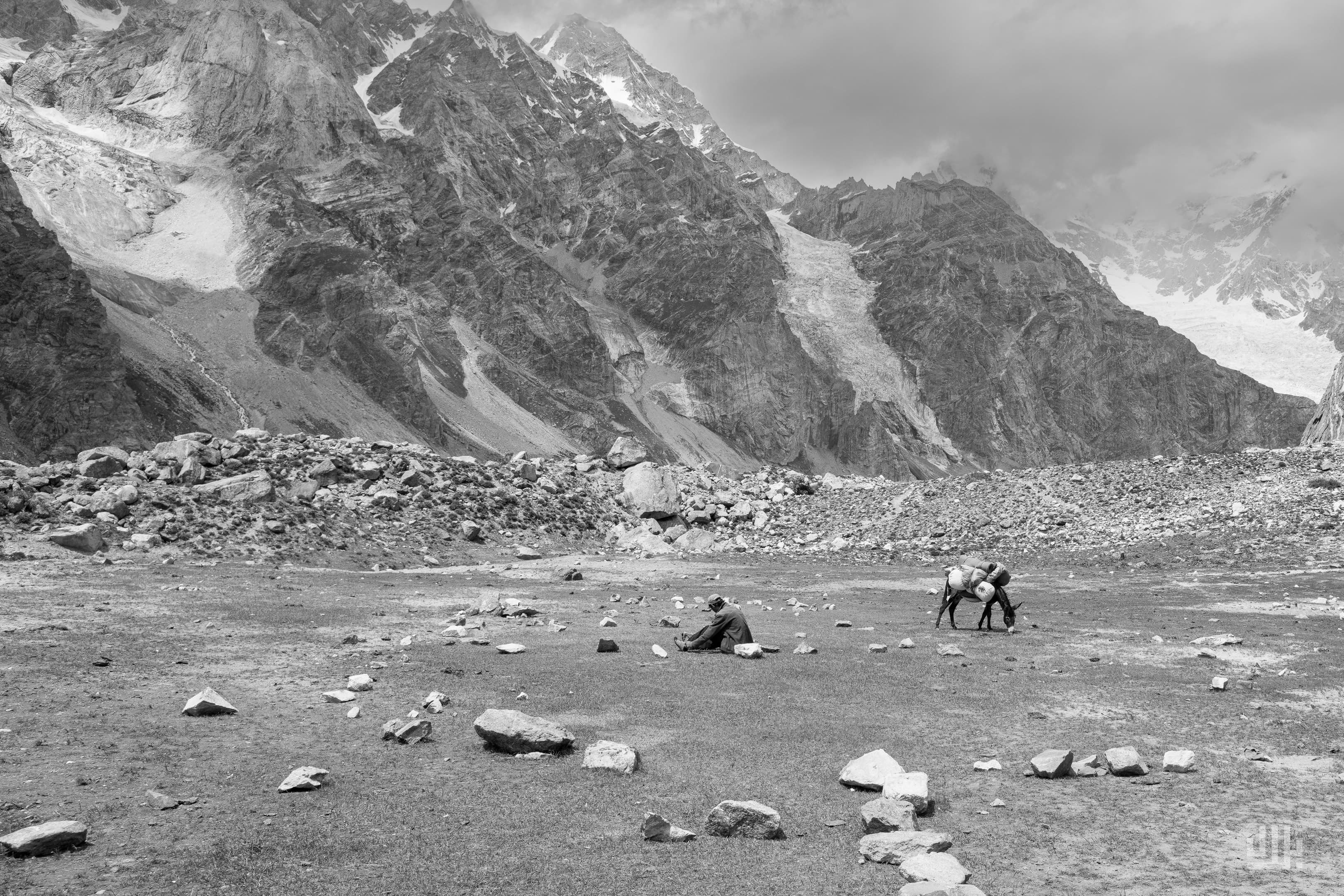 Portfolio image 16