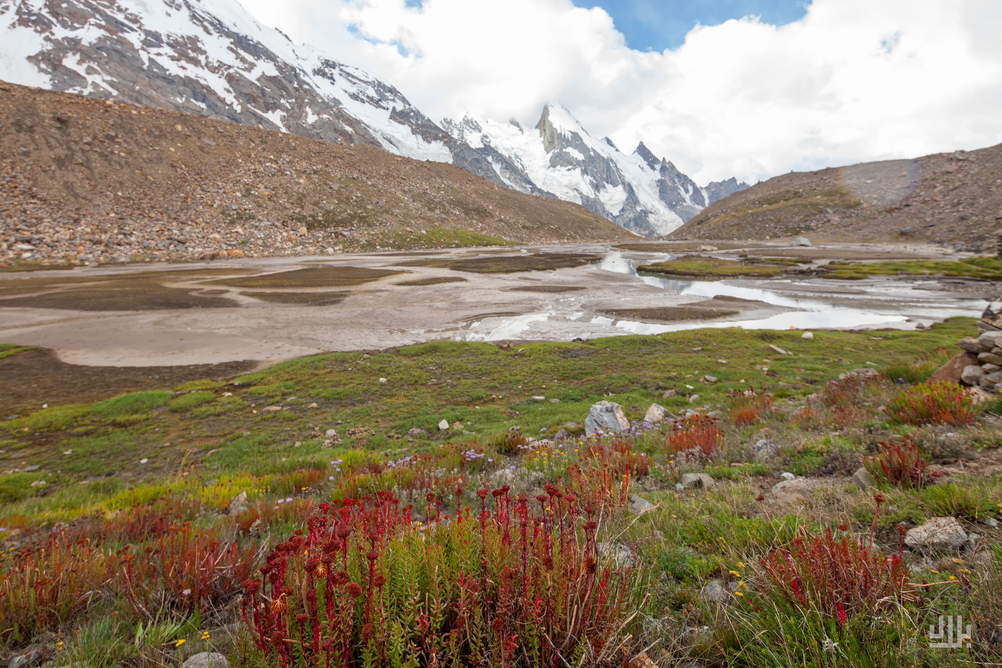 Portfolio image 26