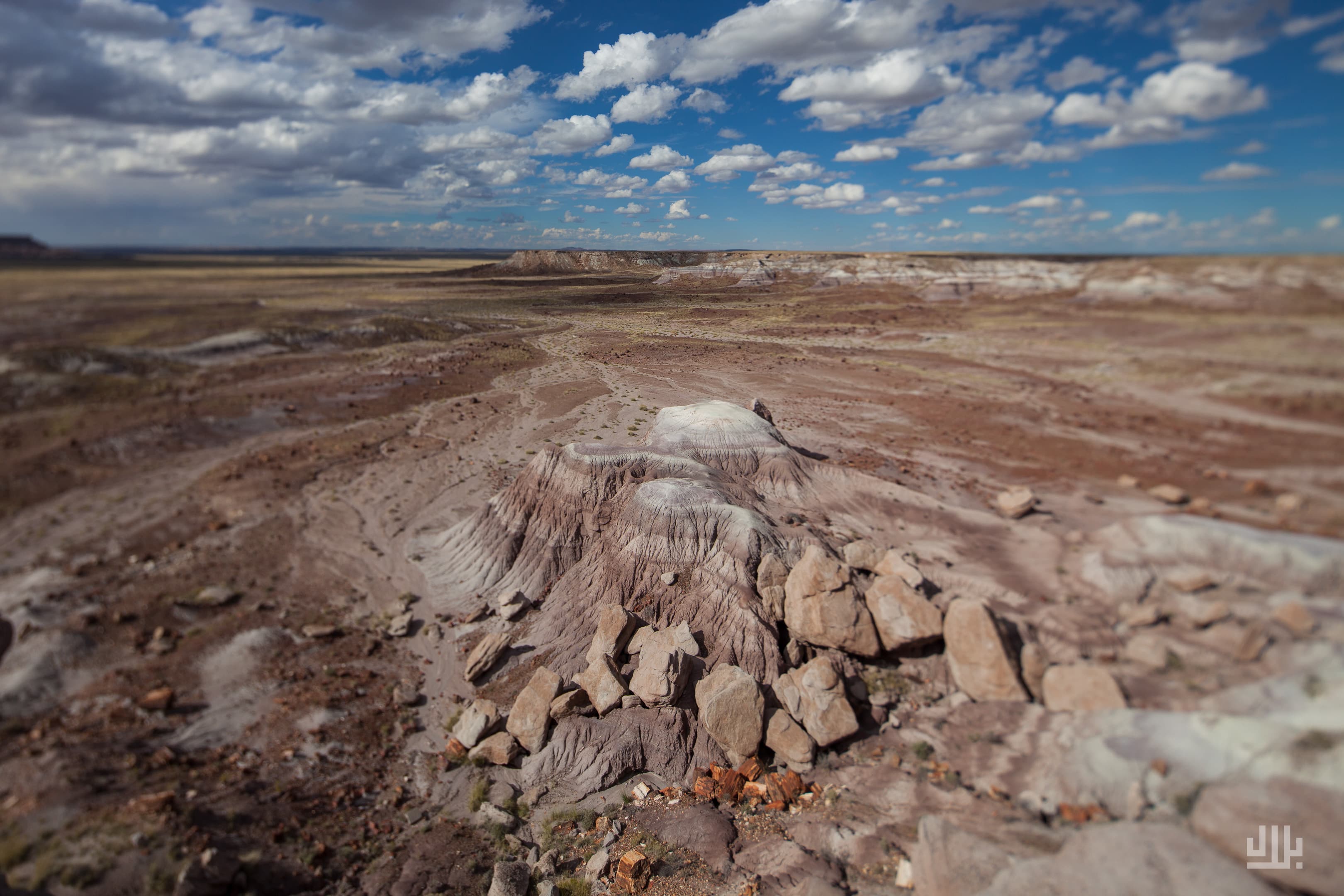 Portfolio image 32