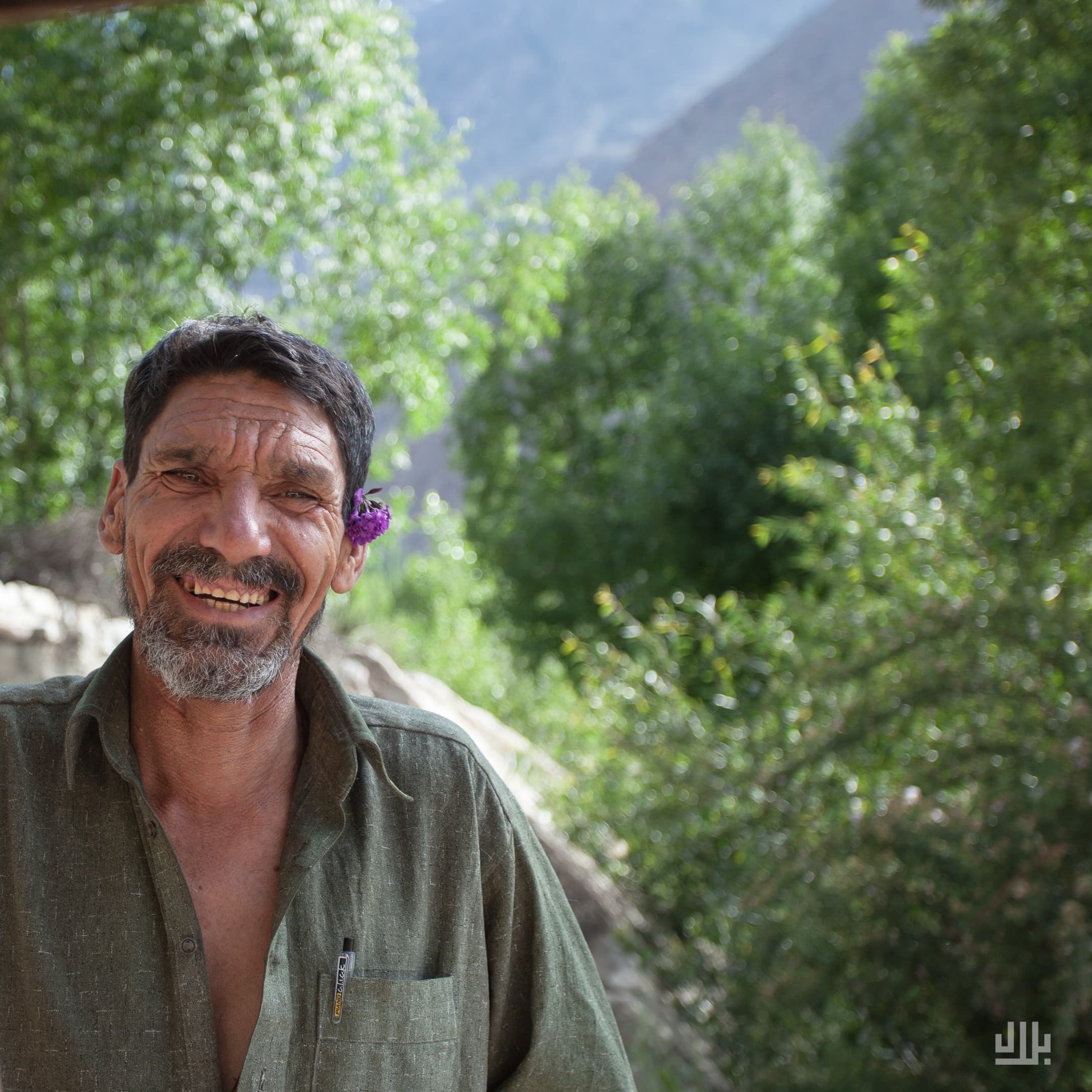Portfolio image 46